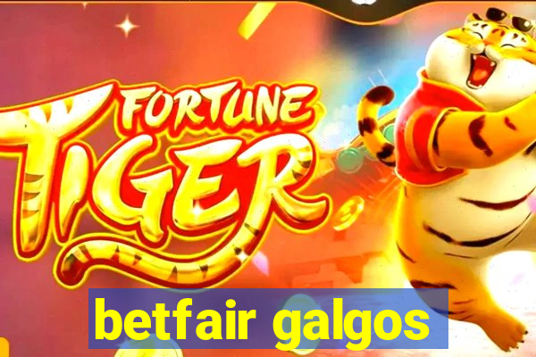 betfair galgos